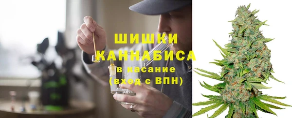трава Белокуриха