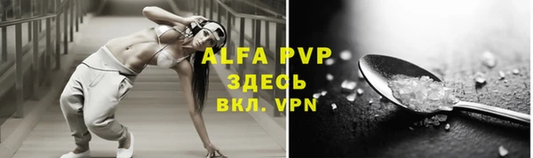 трава Белокуриха