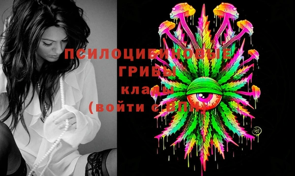 трава Белокуриха