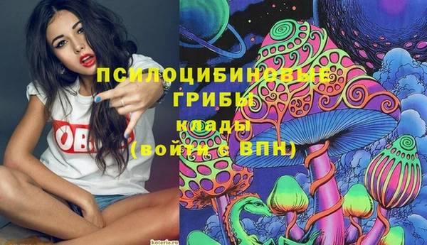 трава Белокуриха