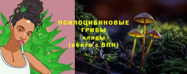 дурь Белоозёрский