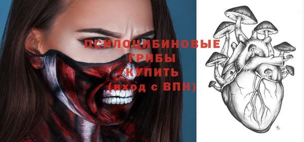 трава Белокуриха