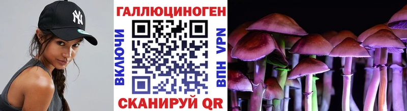 ссылка на мегу онион  Шарыпово  Галлюциногенные грибы GOLDEN TEACHER  цены  